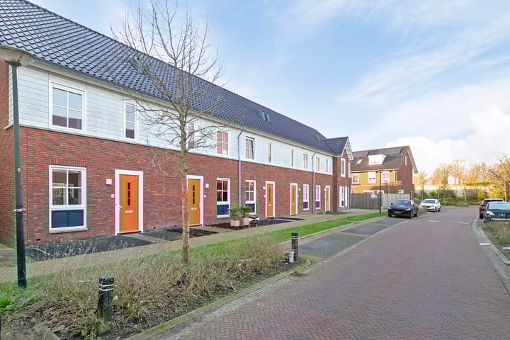 Foto 8 van Knelisroos 30