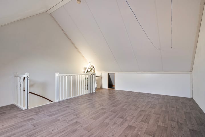 Foto 30 van Knelisroos 30