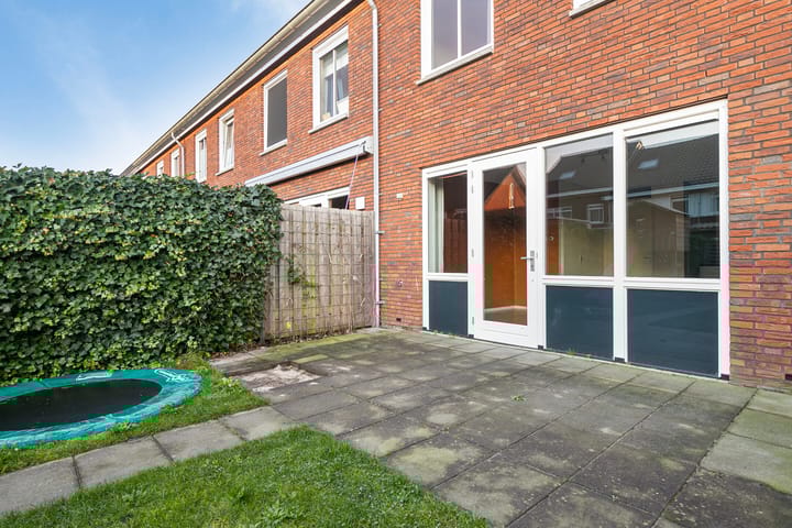 Foto 33 van Knelisroos 30