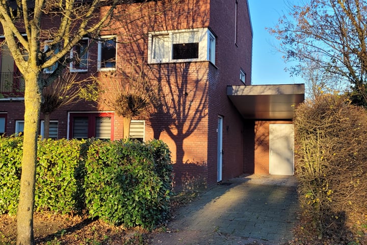 Nachtschade 39