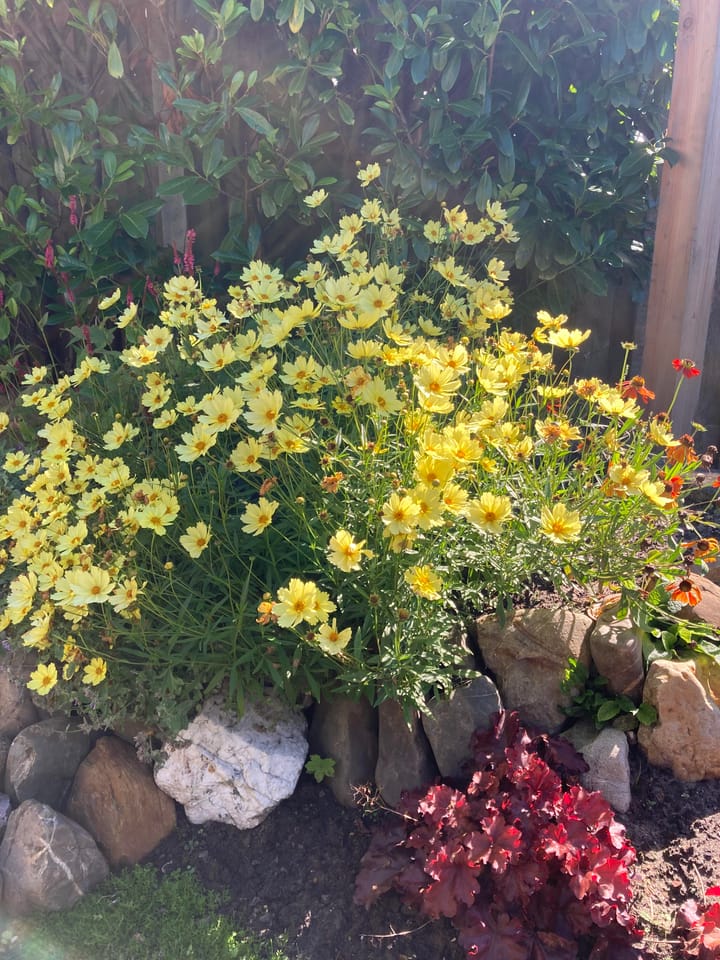 Foto 42 van De Vrede 13