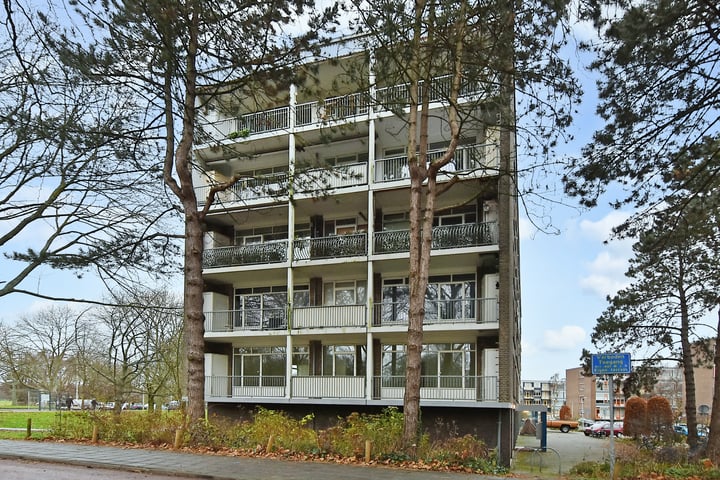 Bekijk foto 2 van Barnsteenhorst 6