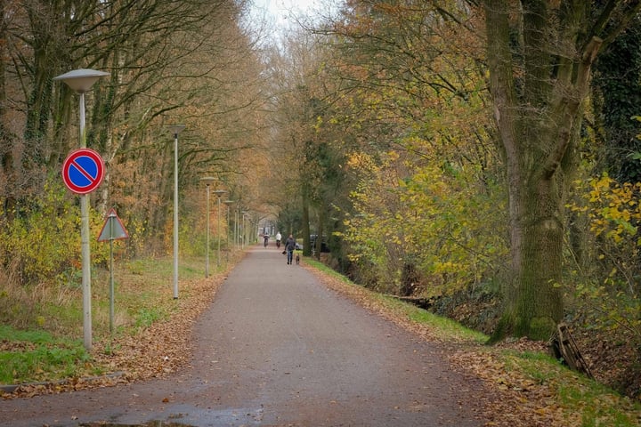 Bekijk foto 8 van Esmarkelaan 473