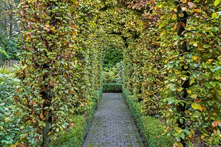 Foto 39 van Rietven 4