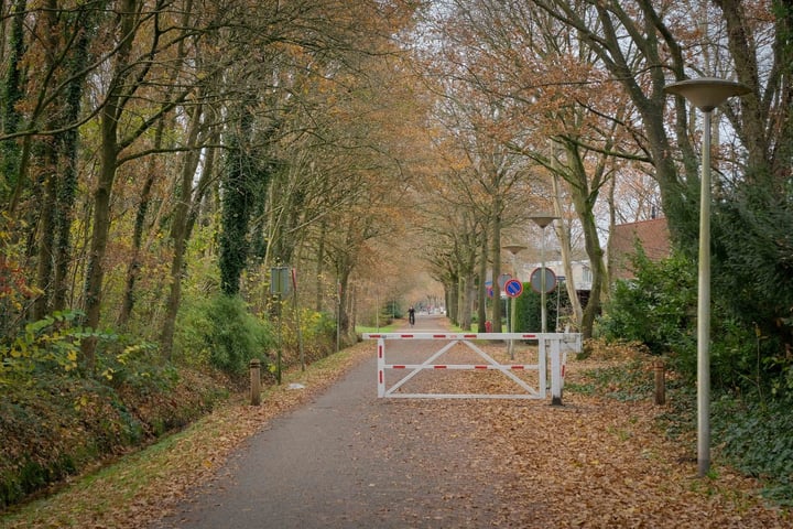 Bekijk foto 24 van Esmarkelaan 473