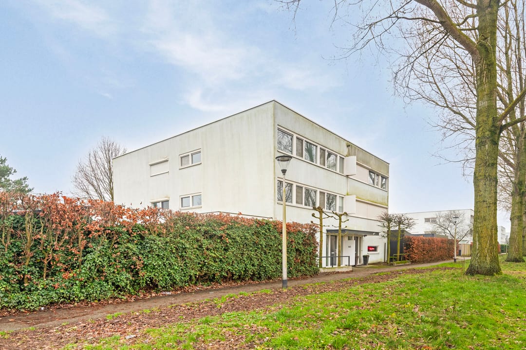 Foto 2 van Schipluidenlaan 145