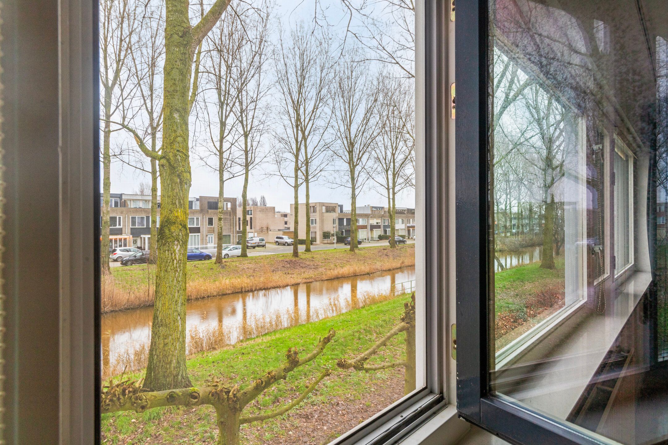 Foto 24 van Schipluidenlaan 145