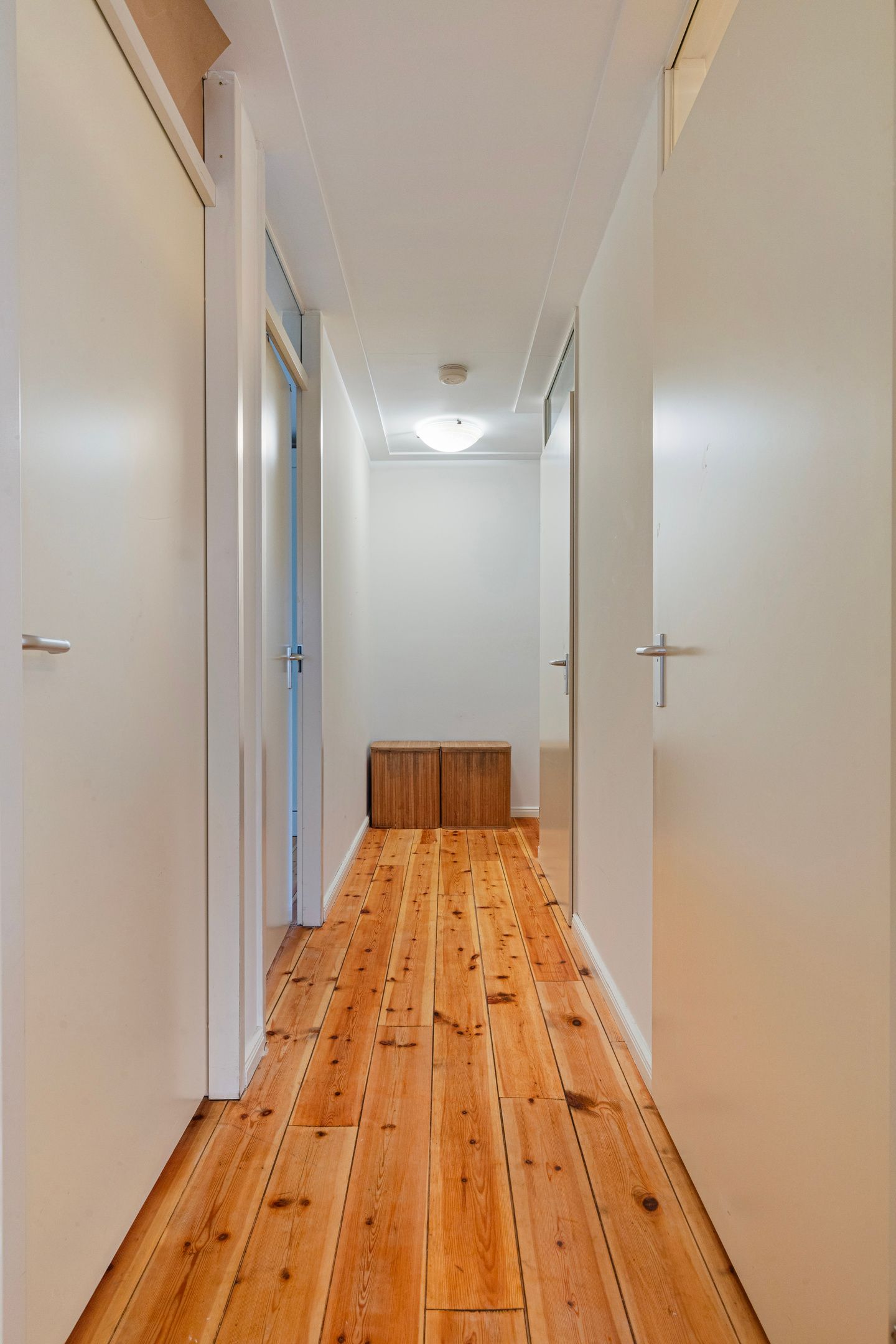 Foto 29 van Schipluidenlaan 145