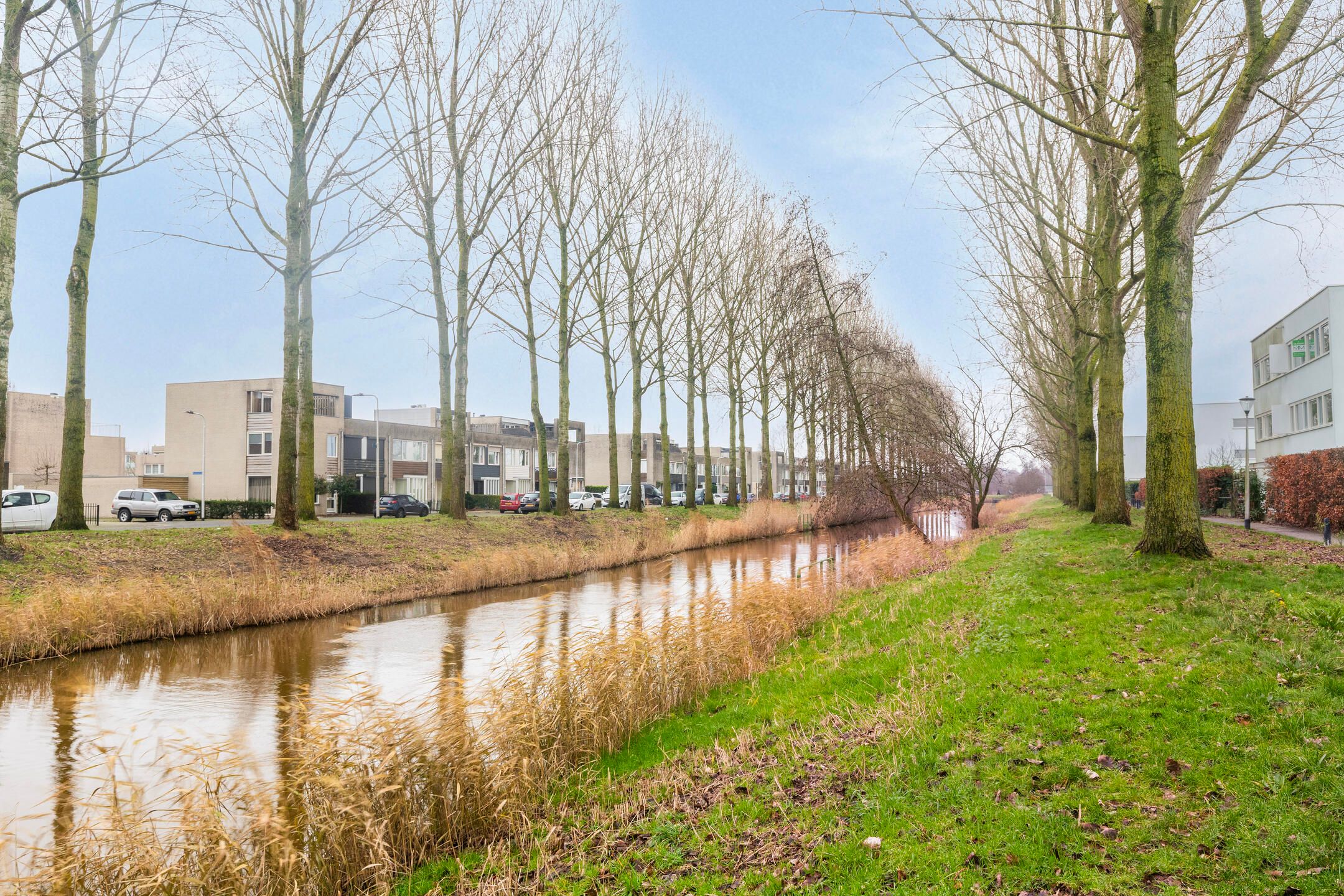 Foto 39 van Schipluidenlaan 145