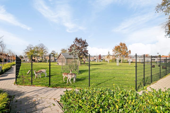 Foto 56 van Seringenlaan 48