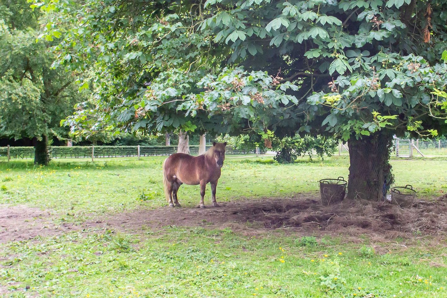 Foto 35 van Dr Cuypersstraat 17