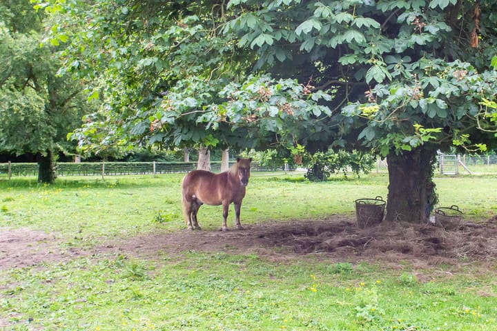 Foto 35 van Dr Cuypersstraat 17