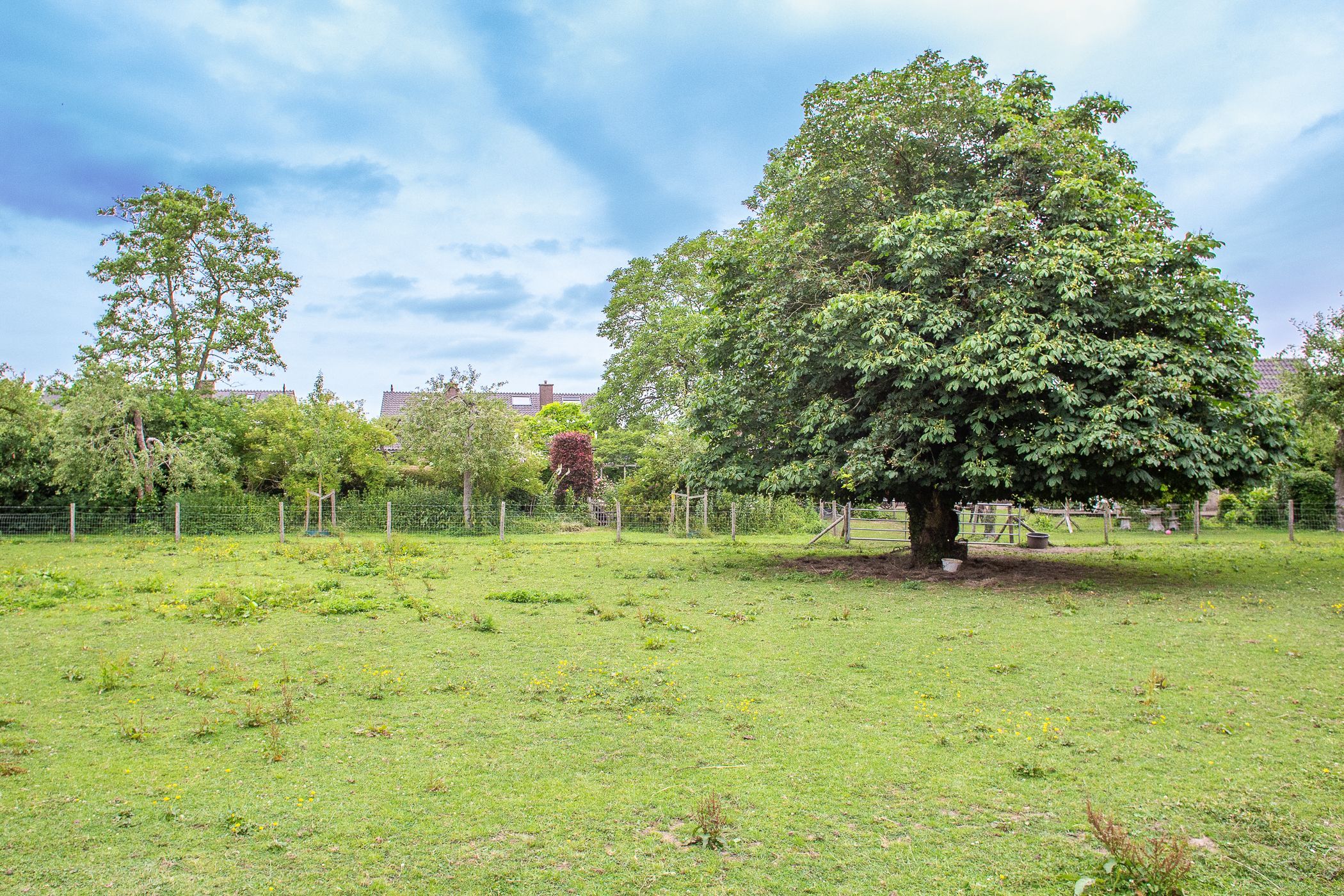 Foto 36 van Dr Cuypersstraat 17