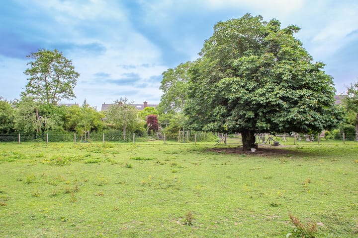 Foto 36 van Dr Cuypersstraat 17