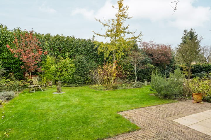 Foto 58 van Timothee 3