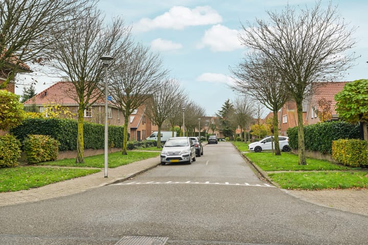 Foto 67 van Timothee 3