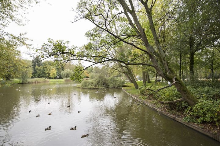 Foto 25 van Vrolikstraat 296-1