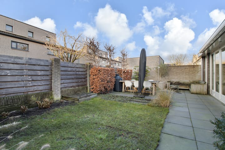 Foto 5 van Korenbloem 1