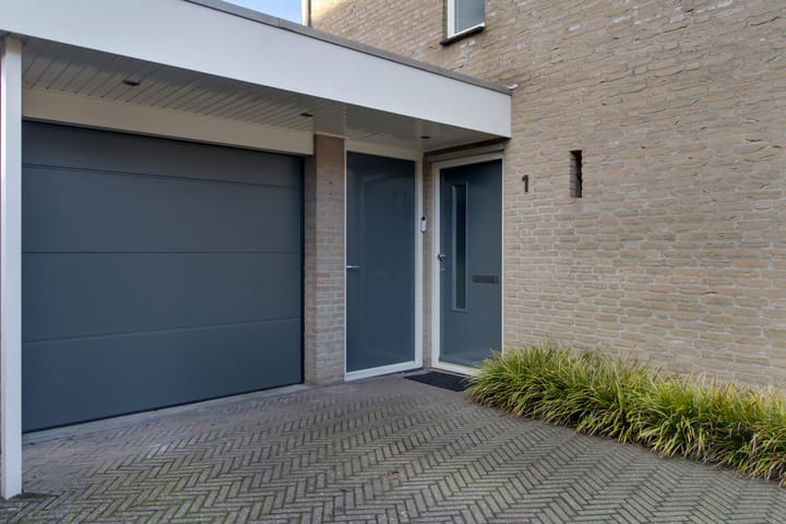 Foto 7 van Korenbloem 1