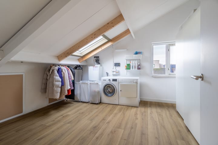 Foto 31 van Korenbloem 1