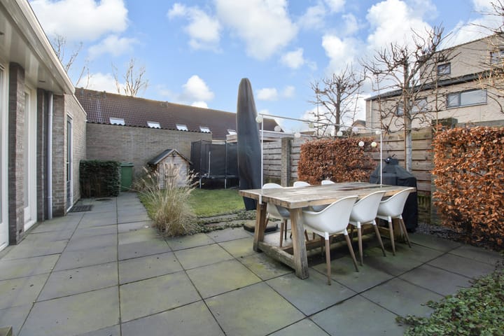 Foto 35 van Korenbloem 1