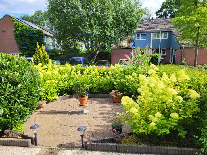 Foto 3 van Orchideestraat 80