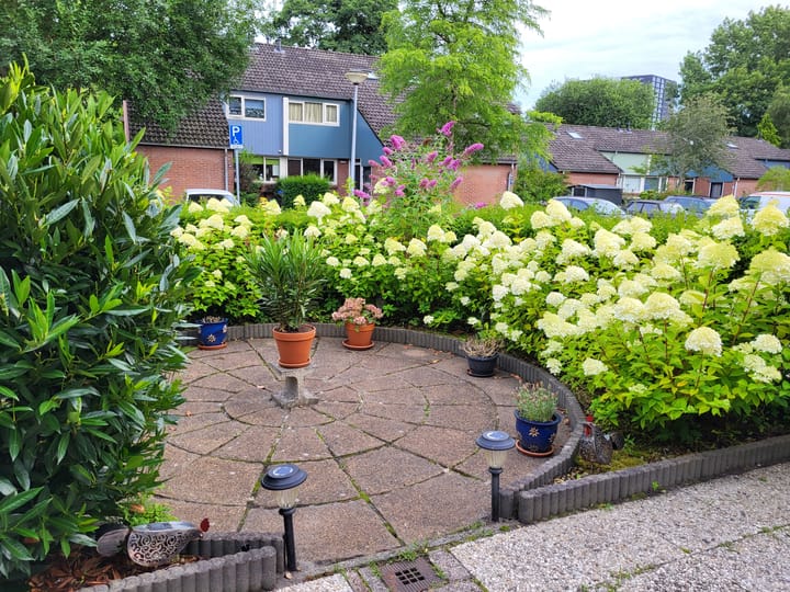 Foto 40 van Orchideestraat 80