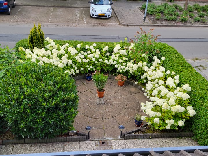 Foto 41 van Orchideestraat 80