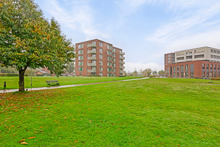 Foto 49 van Ringovenstraat 19