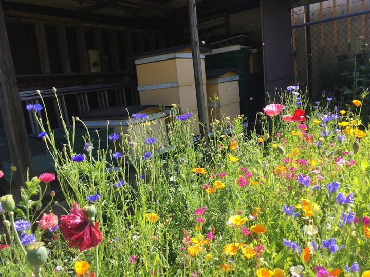 Foto 39 van St. Willibrordusstraat 9-A