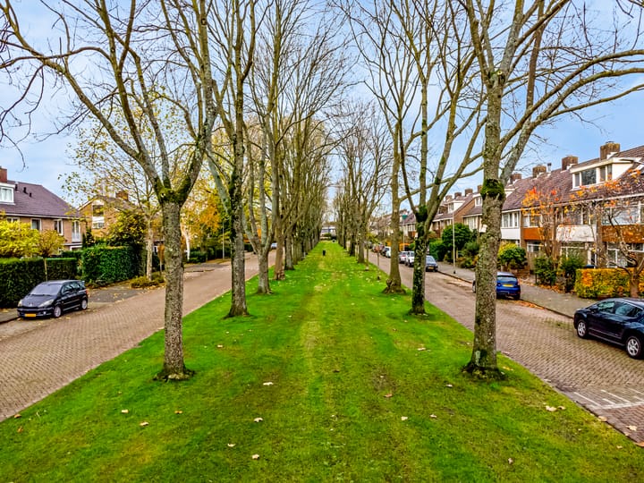 Foto 29 van Willem Klooslaan 49