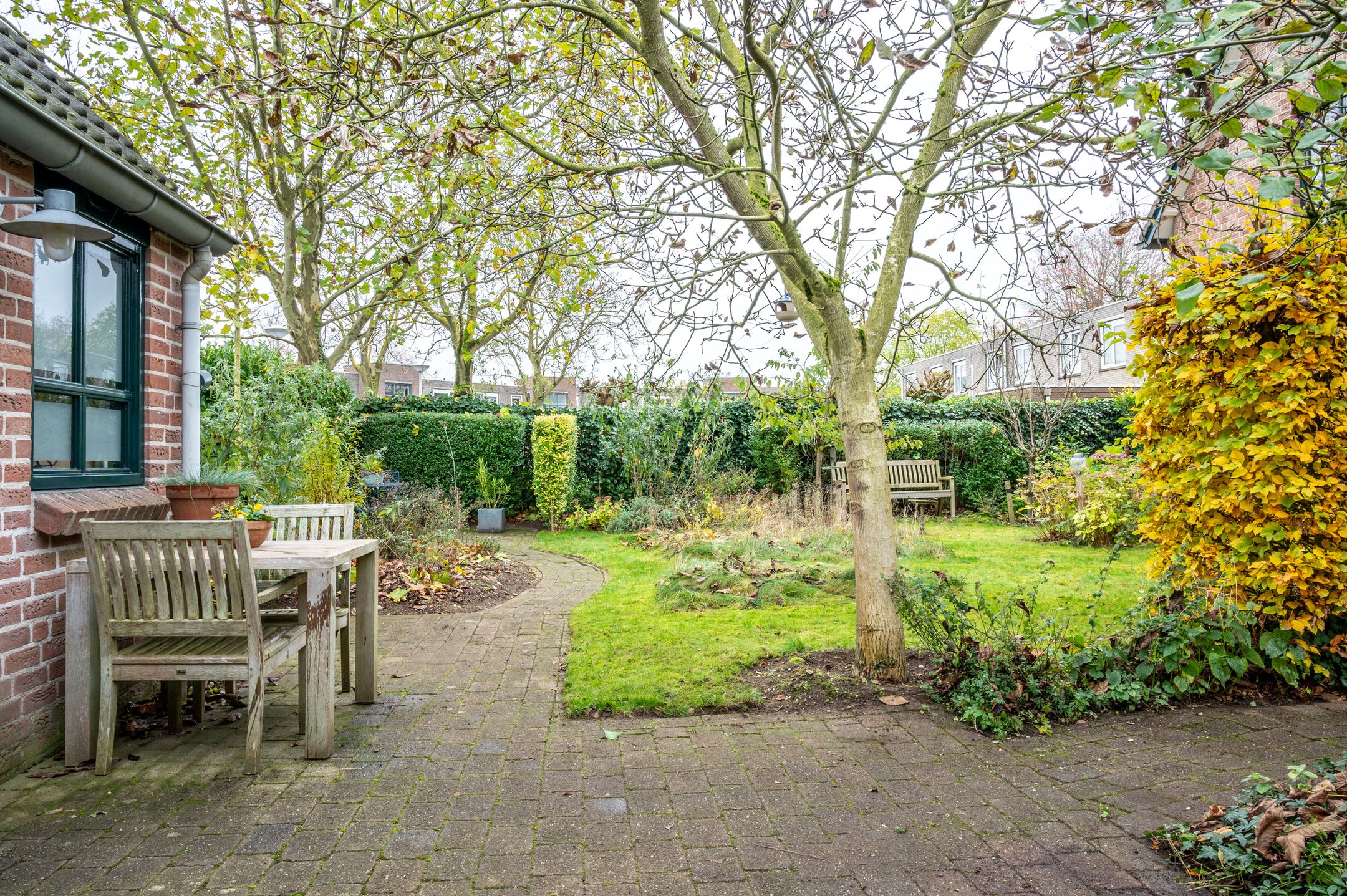 Foto 57 van Regulierenhof 30