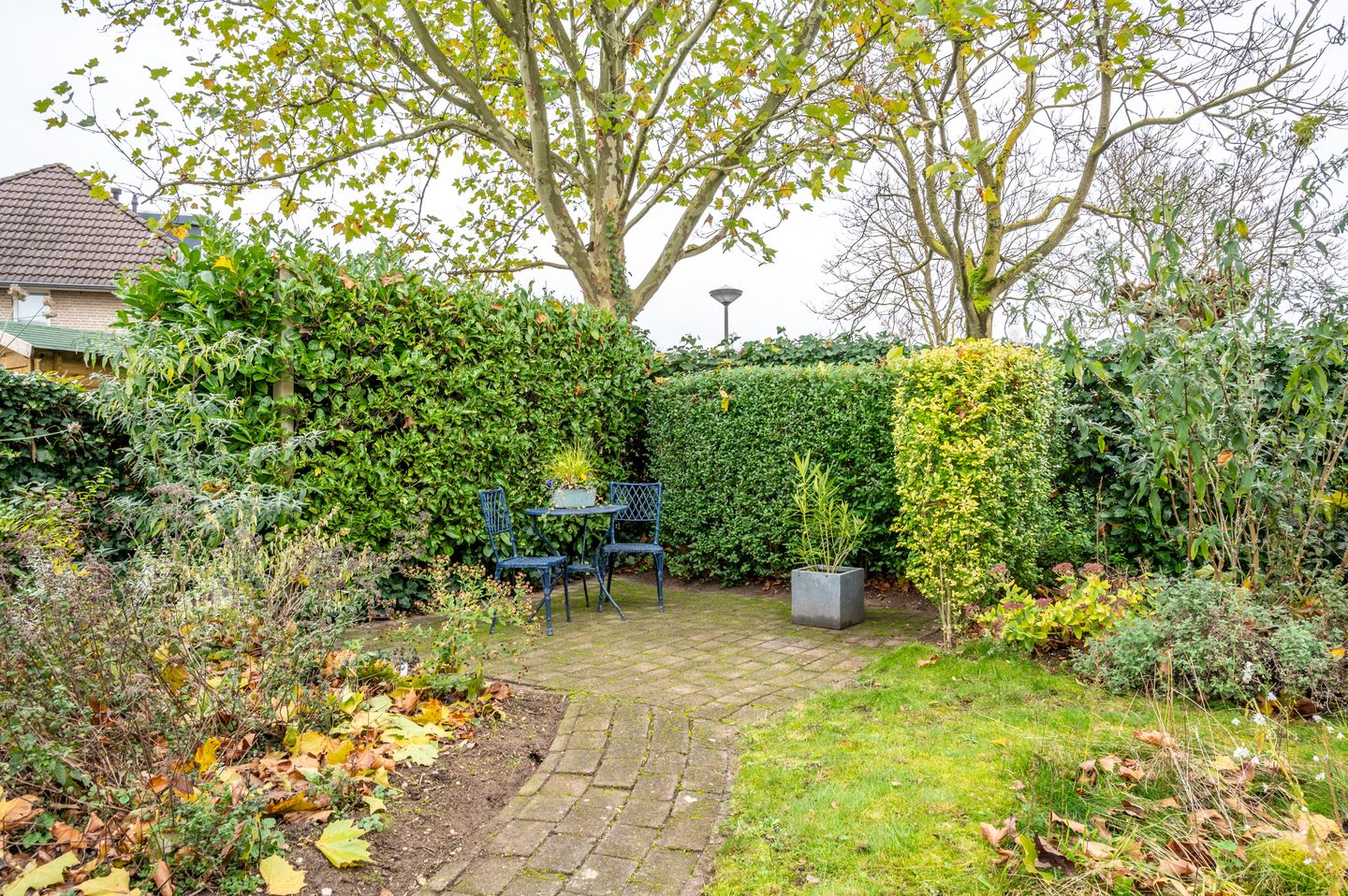 Foto 59 van Regulierenhof 30