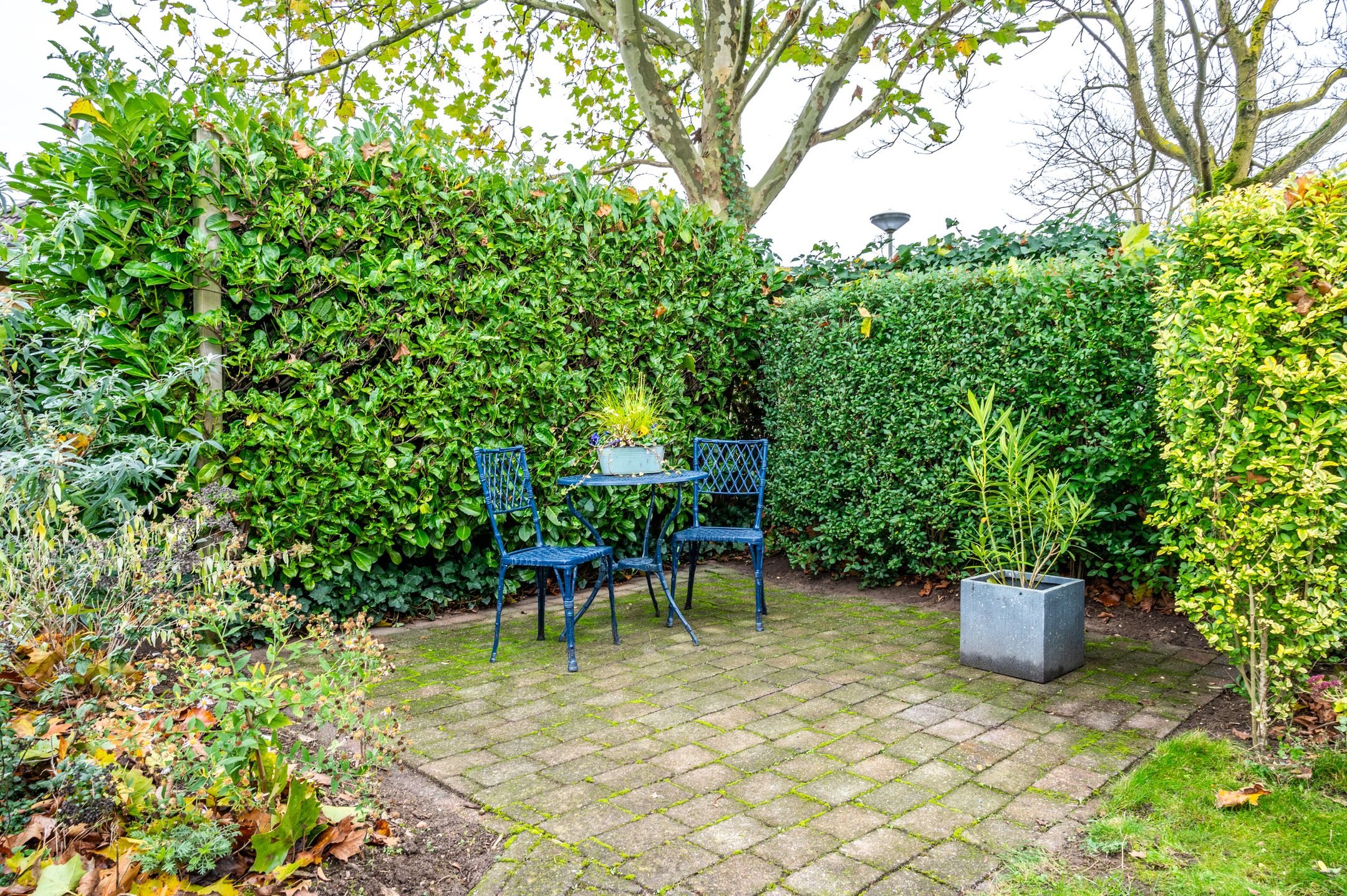 Foto 60 van Regulierenhof 30