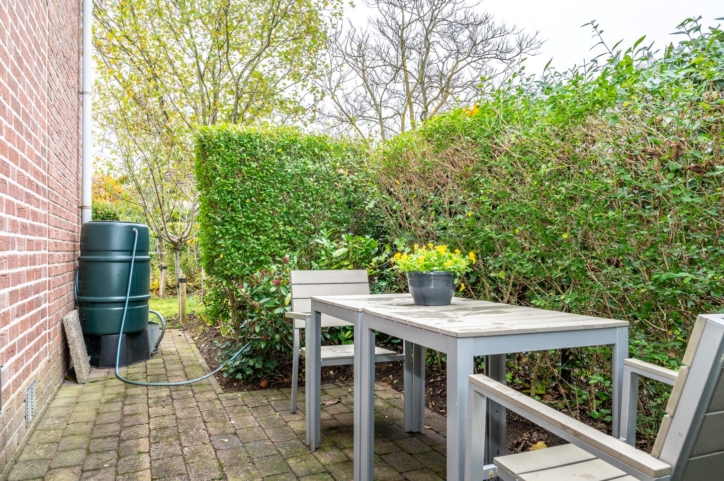 Foto 65 van Regulierenhof 30