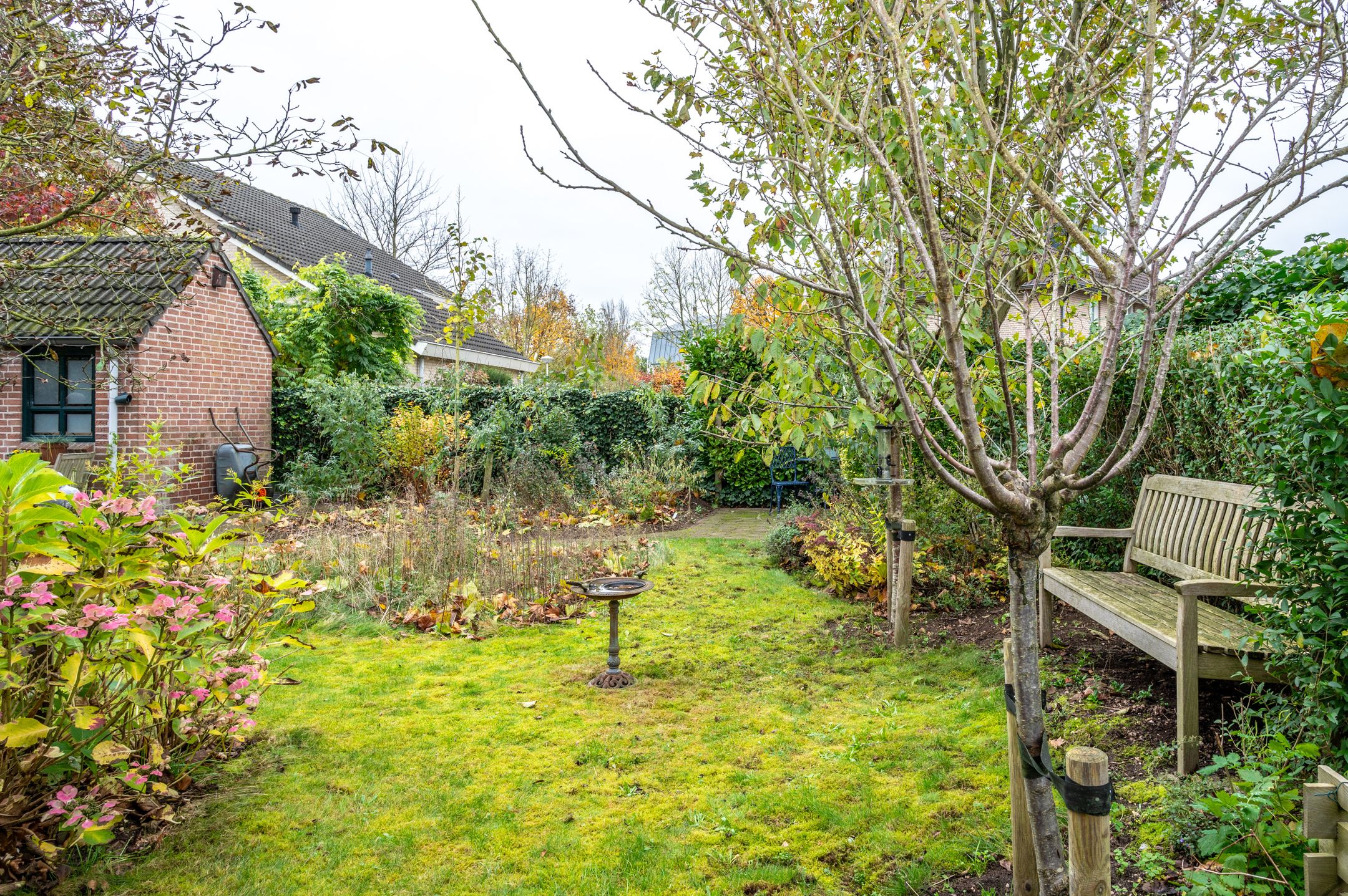 Foto 66 van Regulierenhof 30