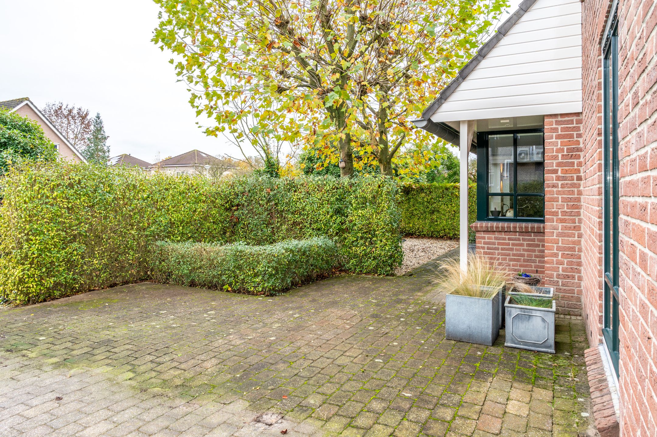 Foto 72 van Regulierenhof 30