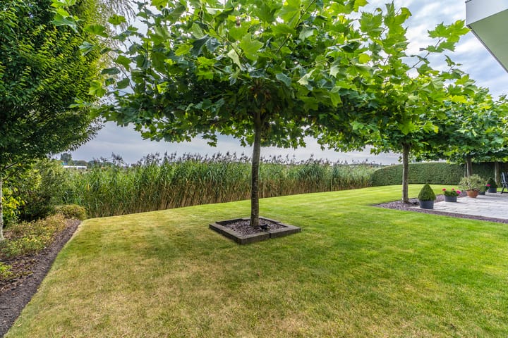 Foto 14 van Vikna 21