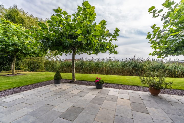 Foto 17 van Vikna 21