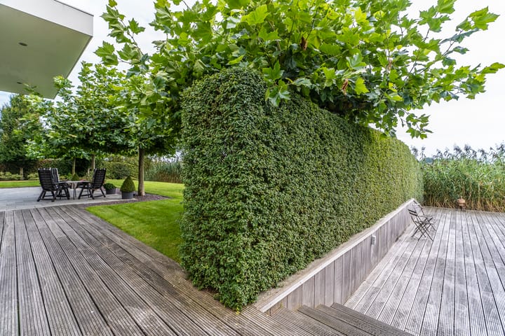 Foto 19 van Vikna 21