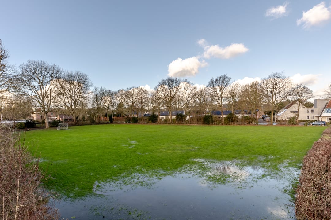 Foto 41 van Kastanjestraat 15