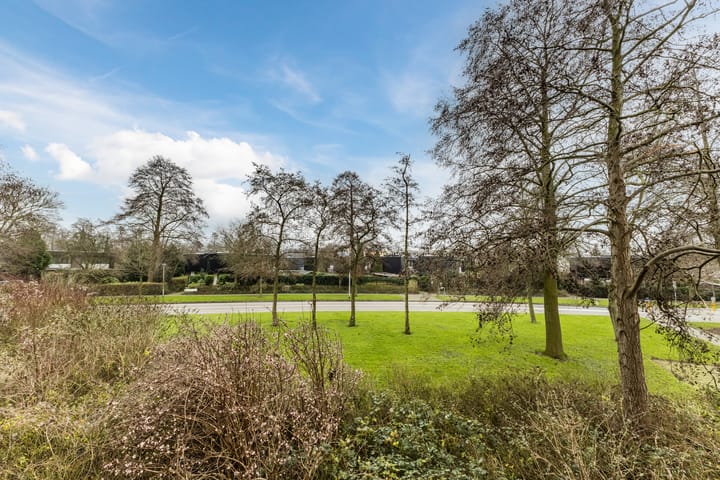 Foto 33 van Zevenblad 14