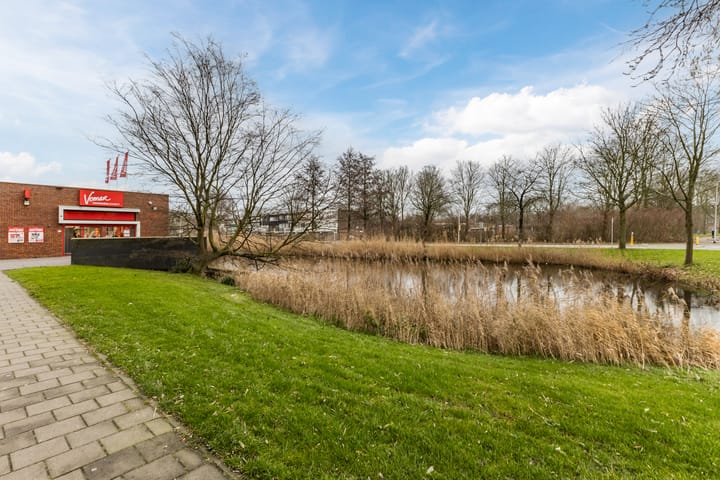 Foto 34 van Zevenblad 14