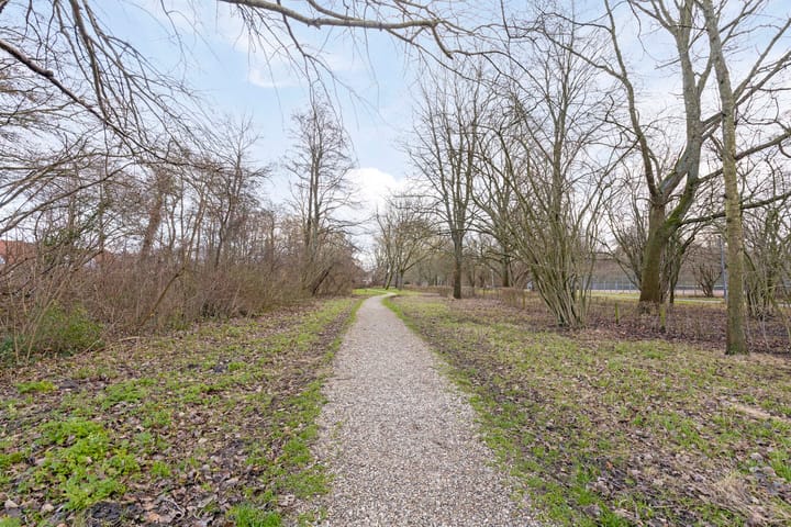 Foto 37 van Schipperstraat 17