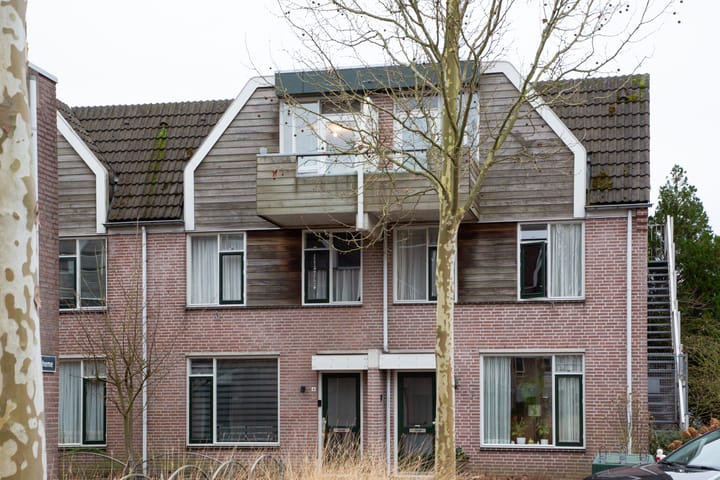 Foto 2 van De Batavier 42