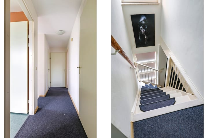 Photo 40 of Hof van Parijs 45