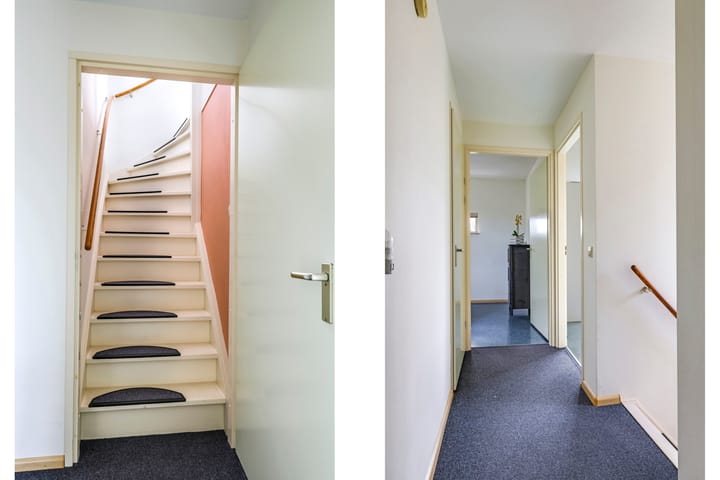 Photo 50 of Hof van Parijs 45