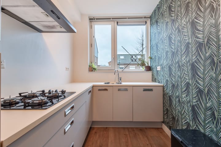 Foto 3 van Troelstrastraat 19