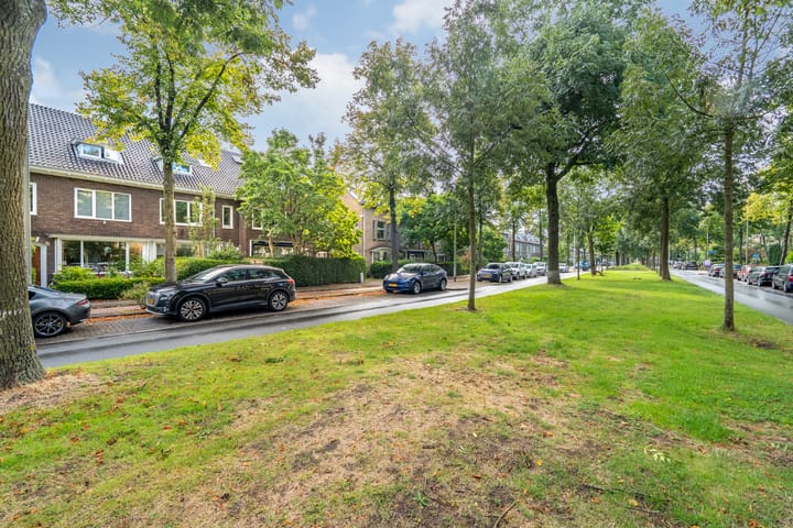 Foto 47 van Lessinglaan 50