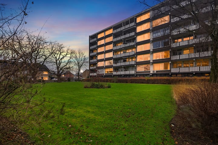 Foto 25 van Frerikshuislaan 111